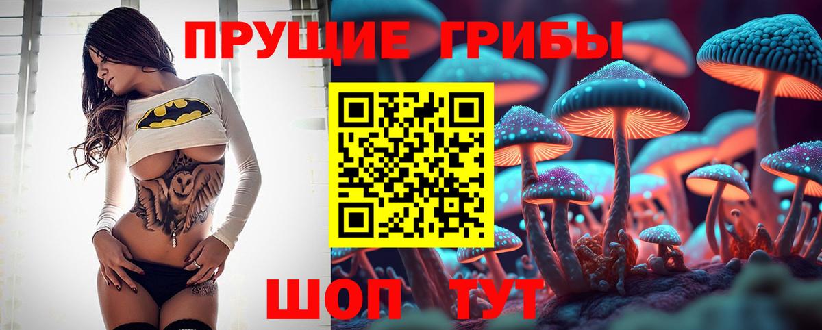Миасс  Псилоцибиновые грибы Cubensis  Вход с VPN 